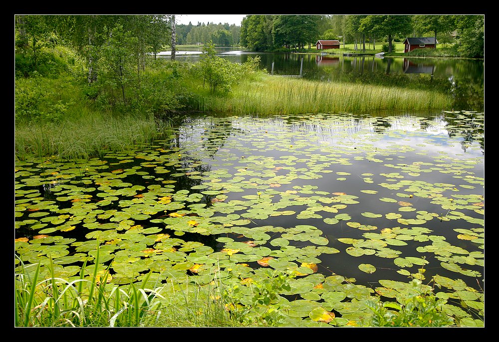 Sommer_in_Västergötland