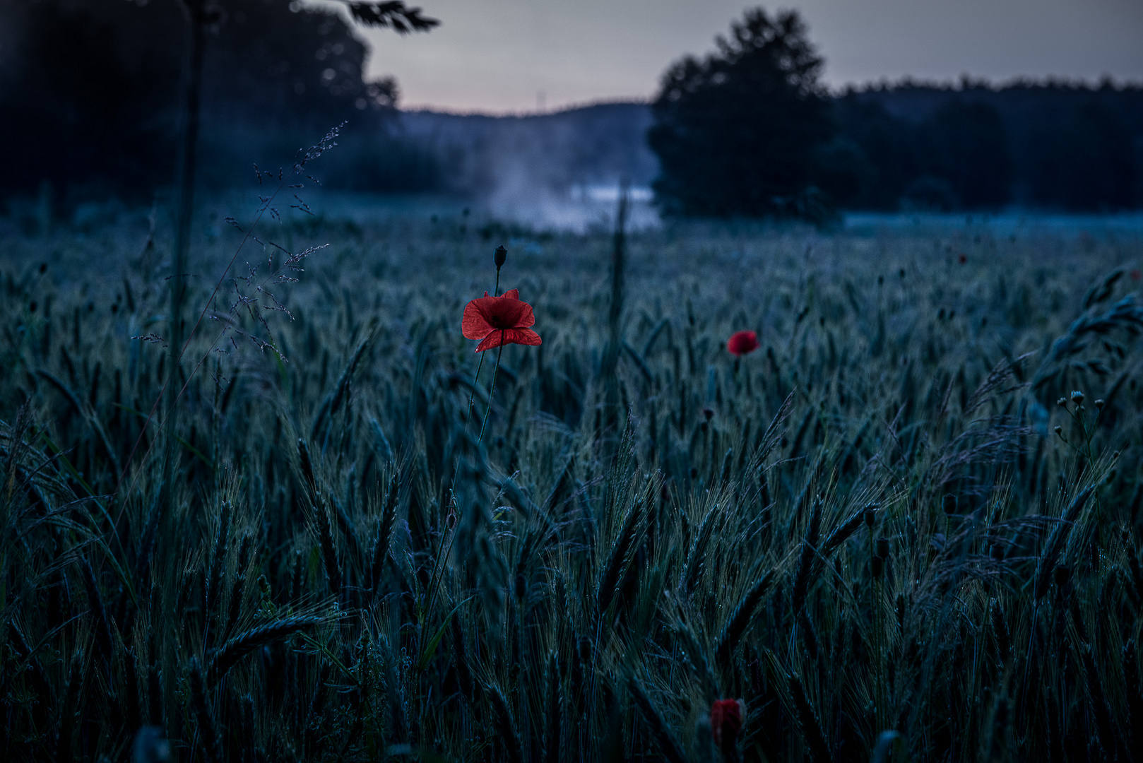 Sommerkälte