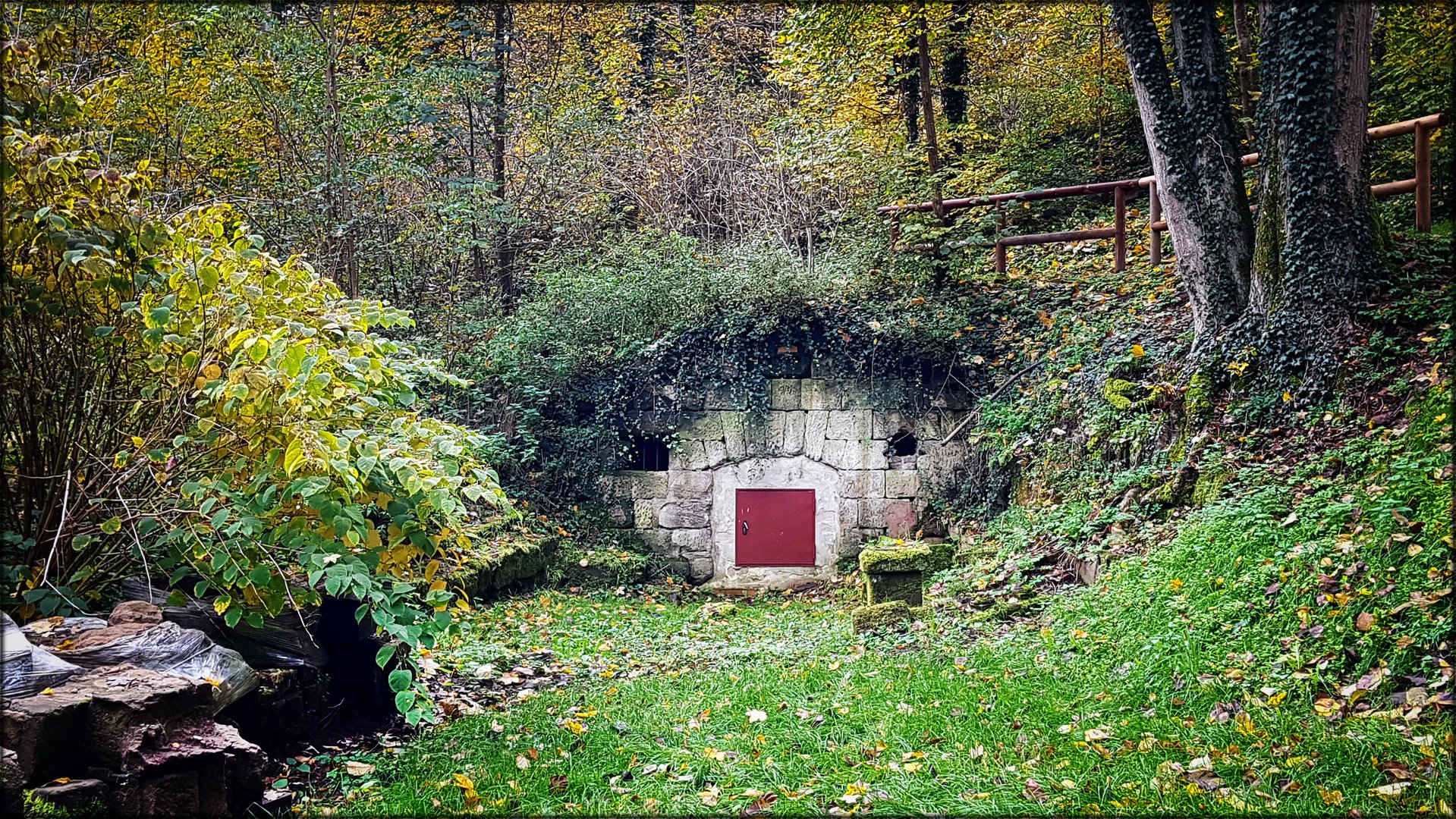 Sommerkeller Weinbergpark 