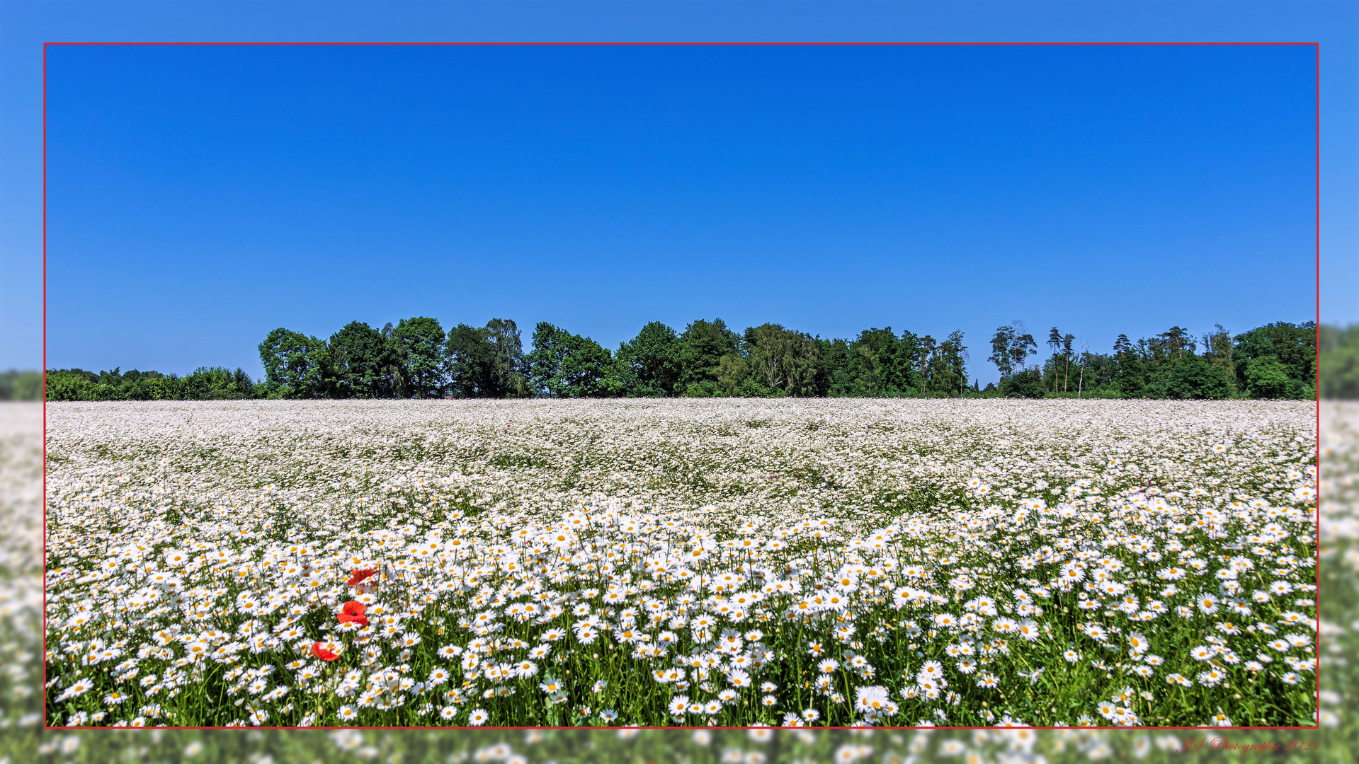 Sommerland