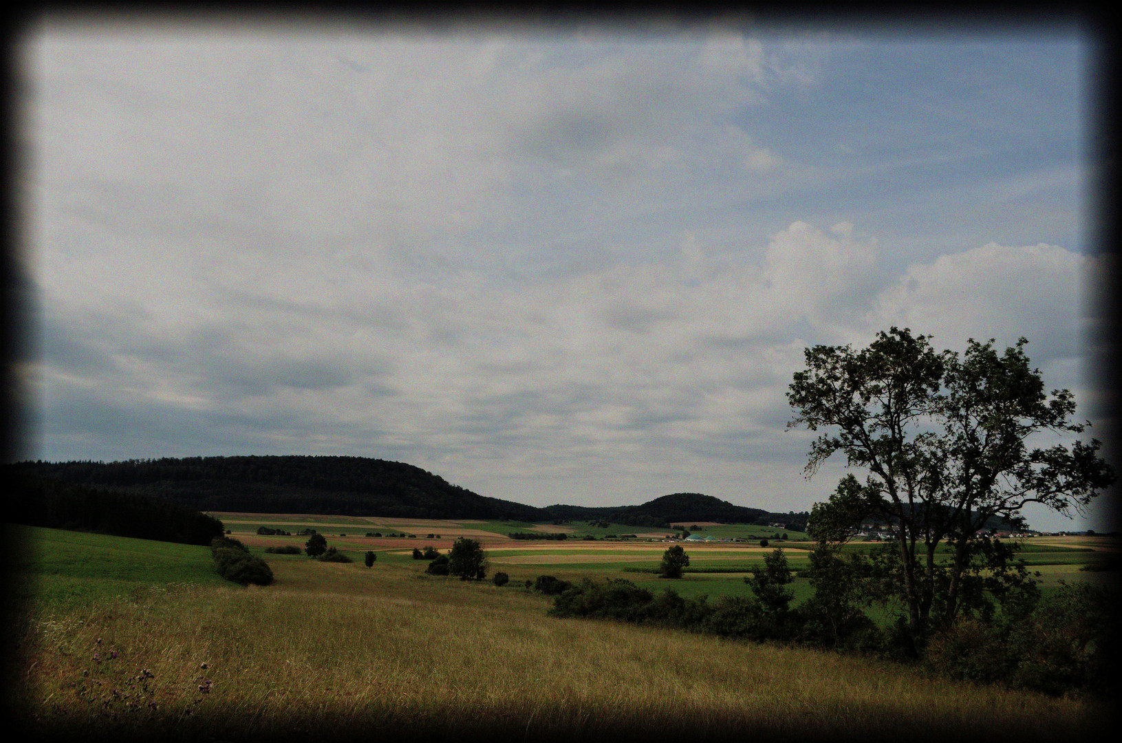 Sommerland 6 (viel zu heiß)