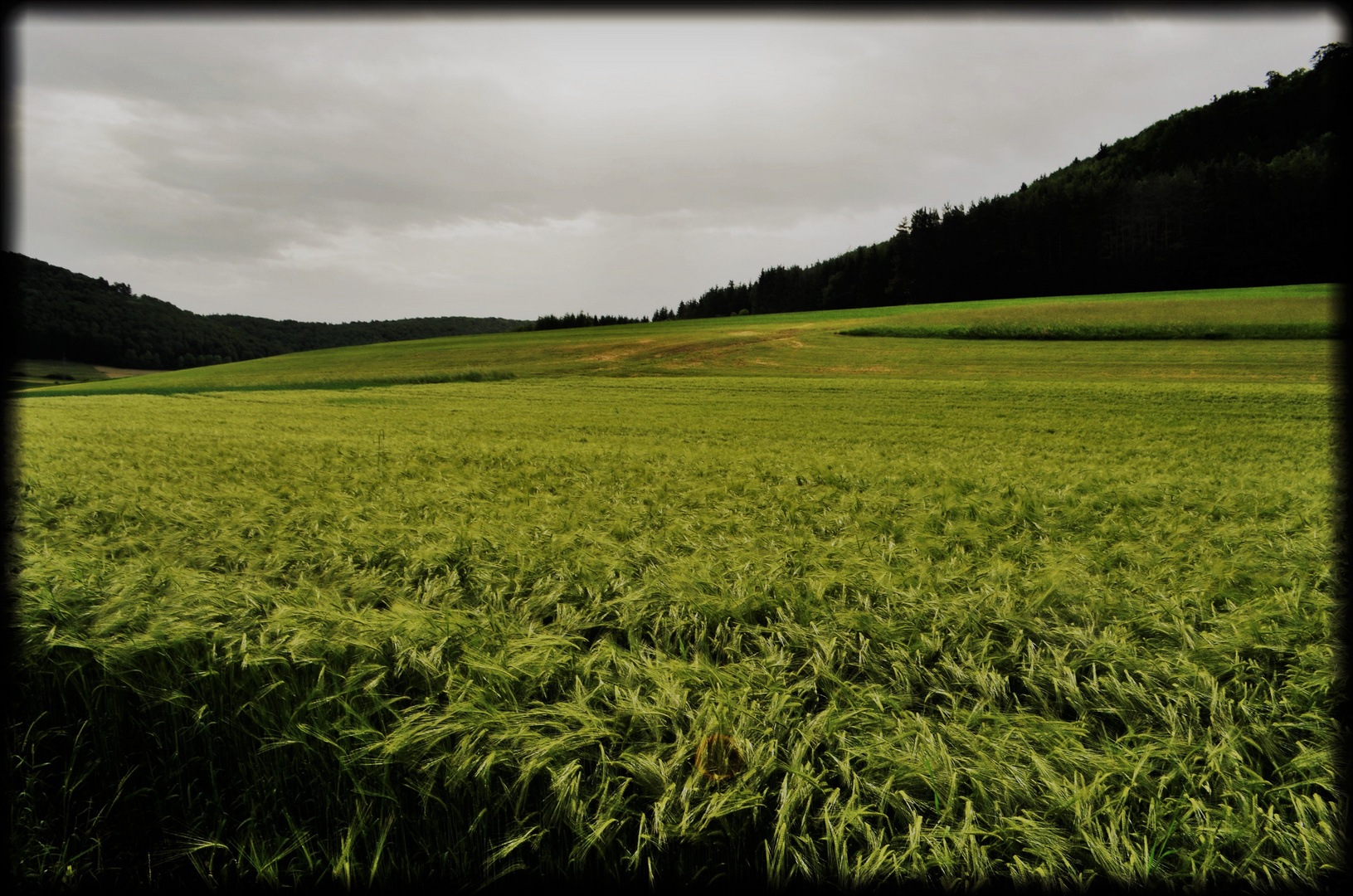 Sommerland