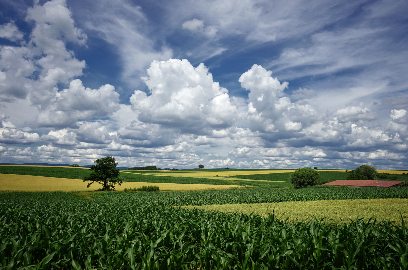 Sommerland