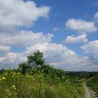 Sommerlandschaft