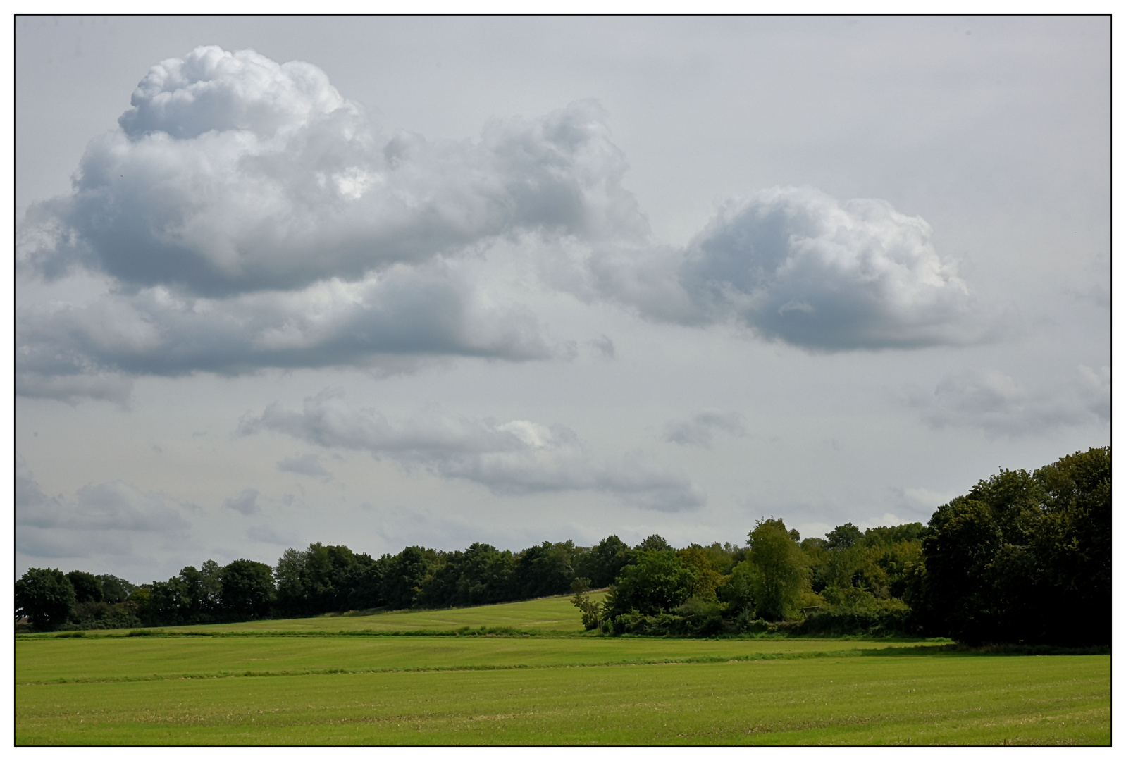 Sommerlandschaft