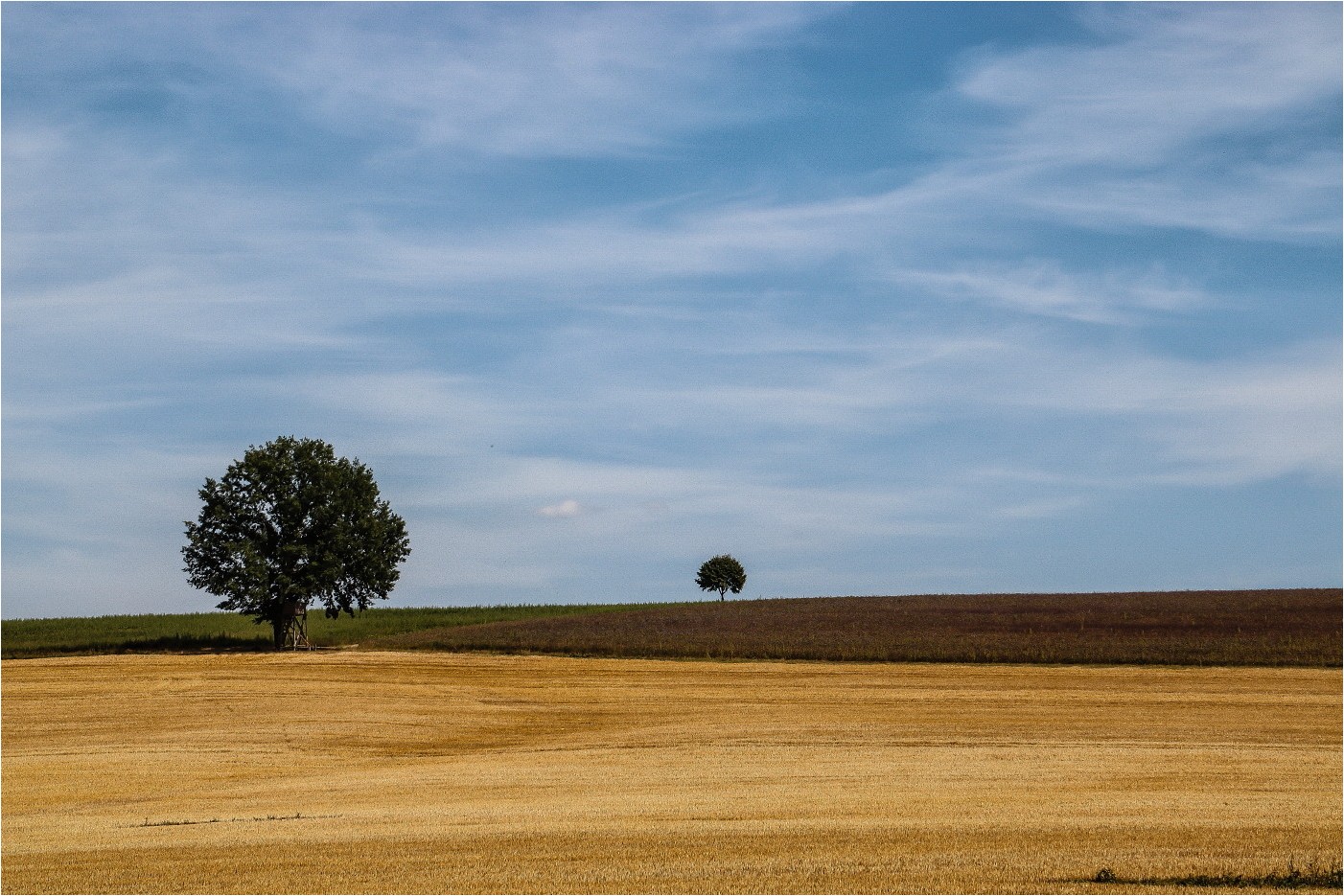 Sommerlandschaft