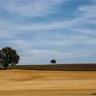 Sommerlandschaft