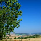 Sommerlandschaft