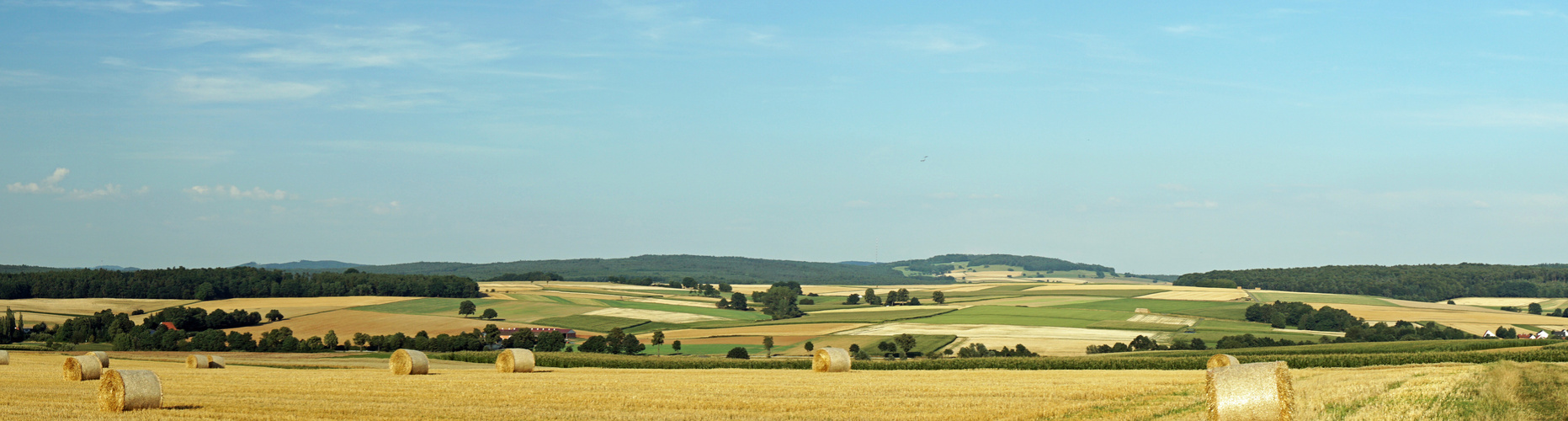 Sommerlandschaft