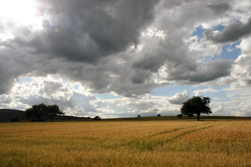 sommerlandschaft