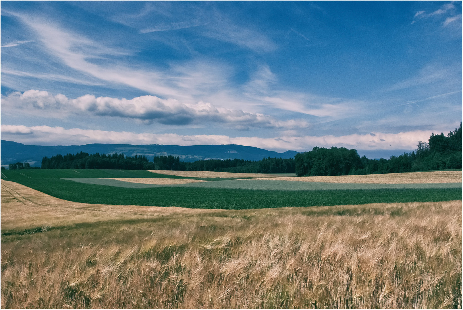 Sommerlandschaft