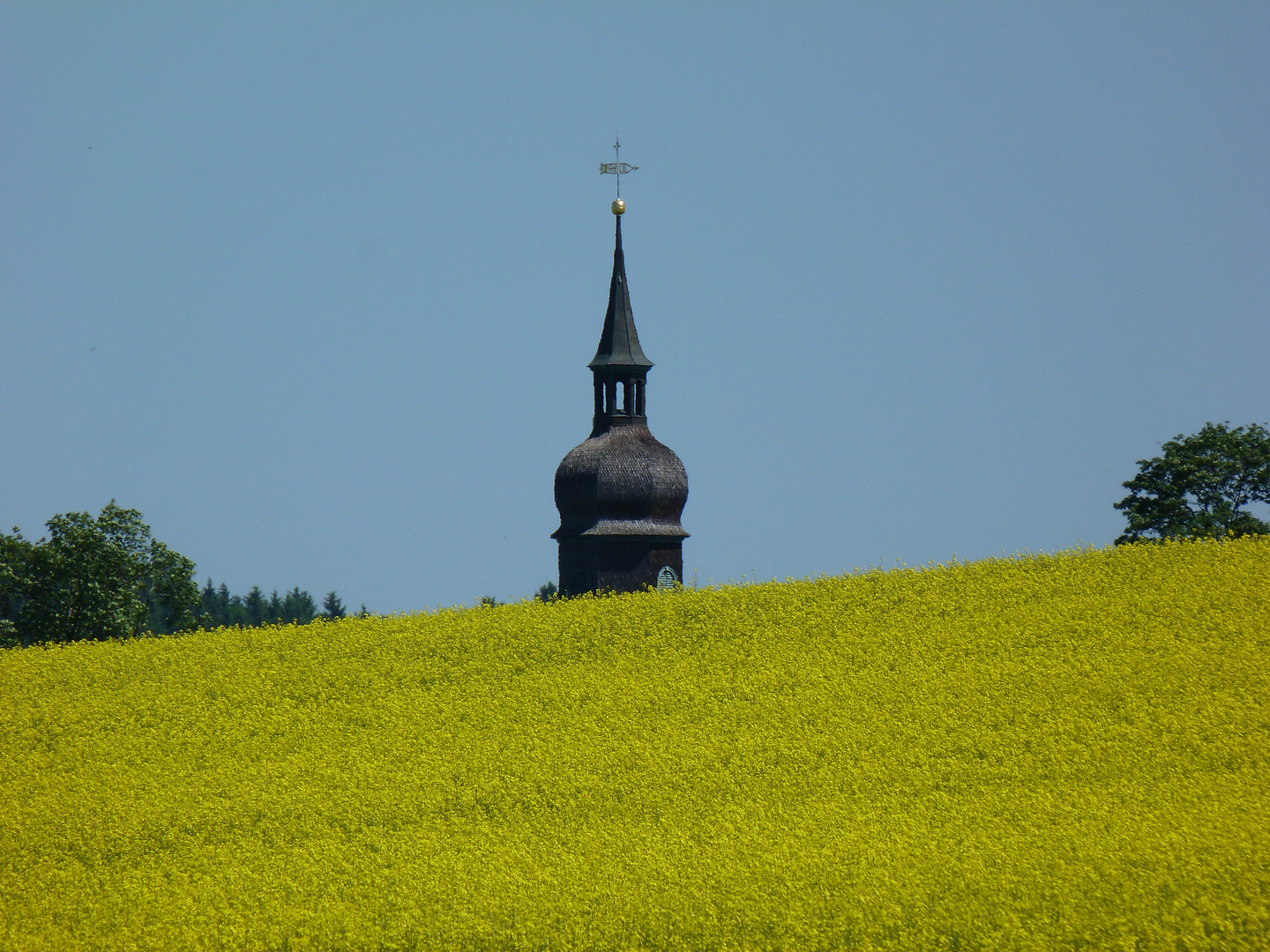 Sommerlandschaft