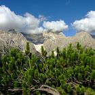 Sommerlandschaft