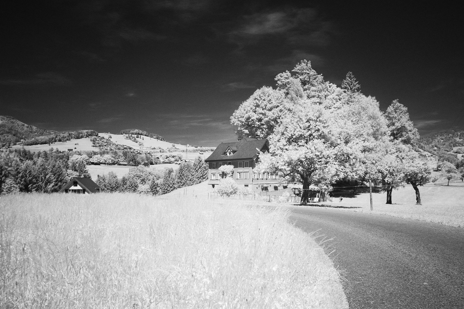 Sommerlandschaft