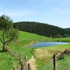 Sommerlandschaft