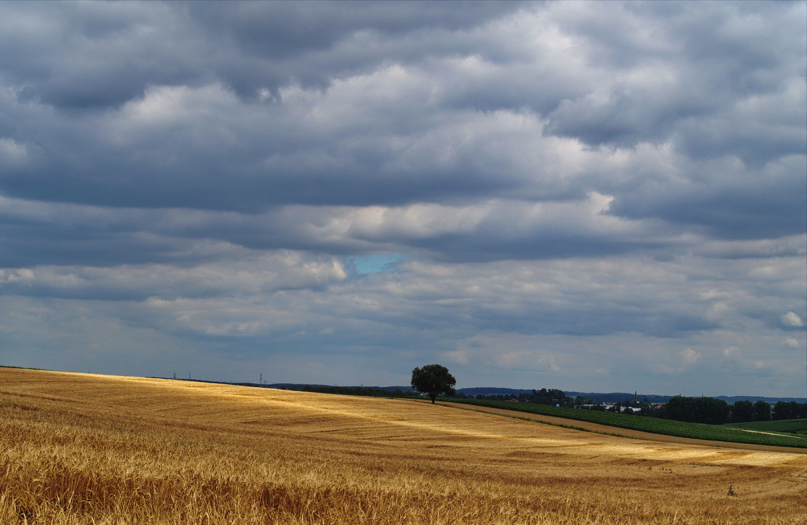 Sommerlandschaft