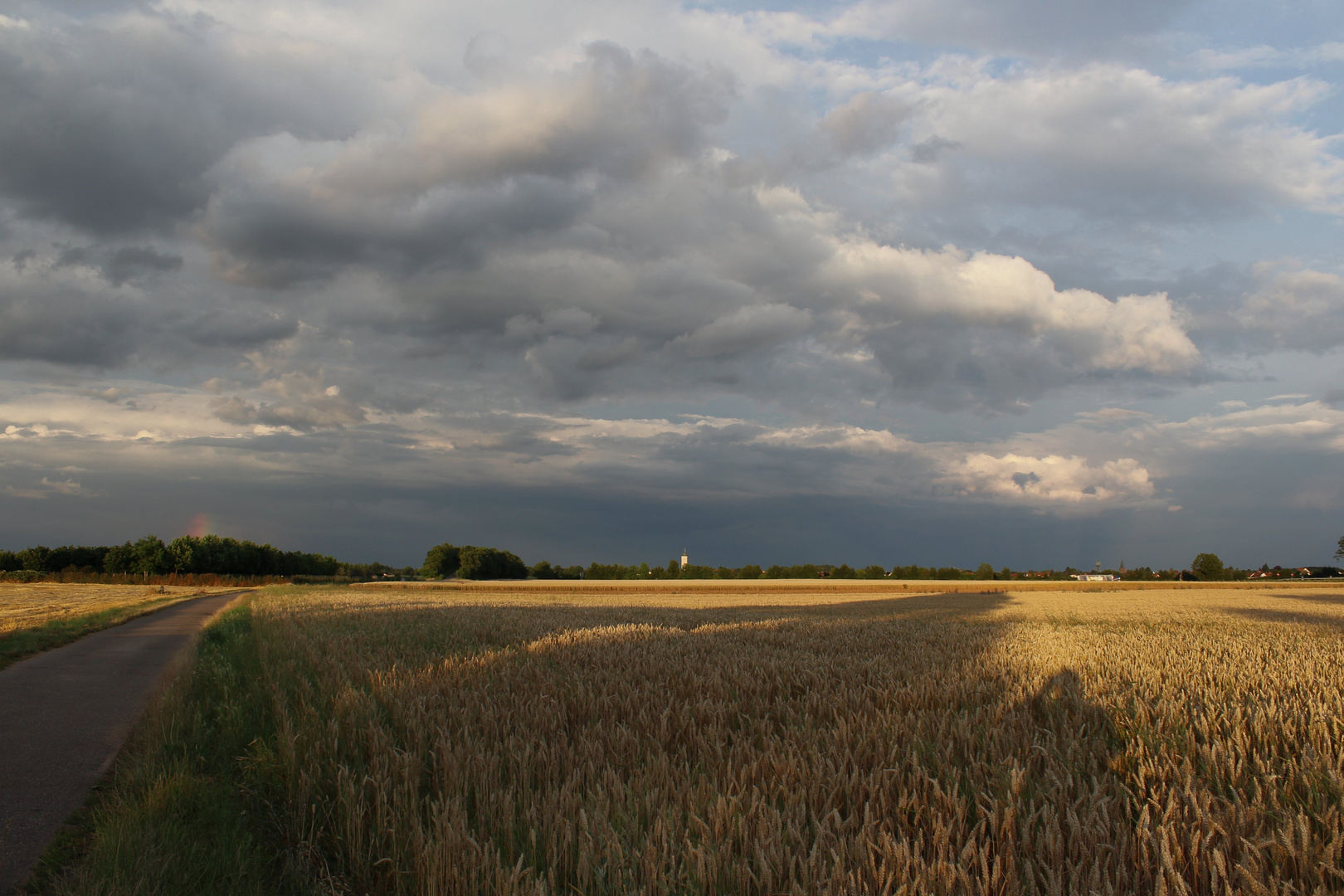 Sommerlandschaft