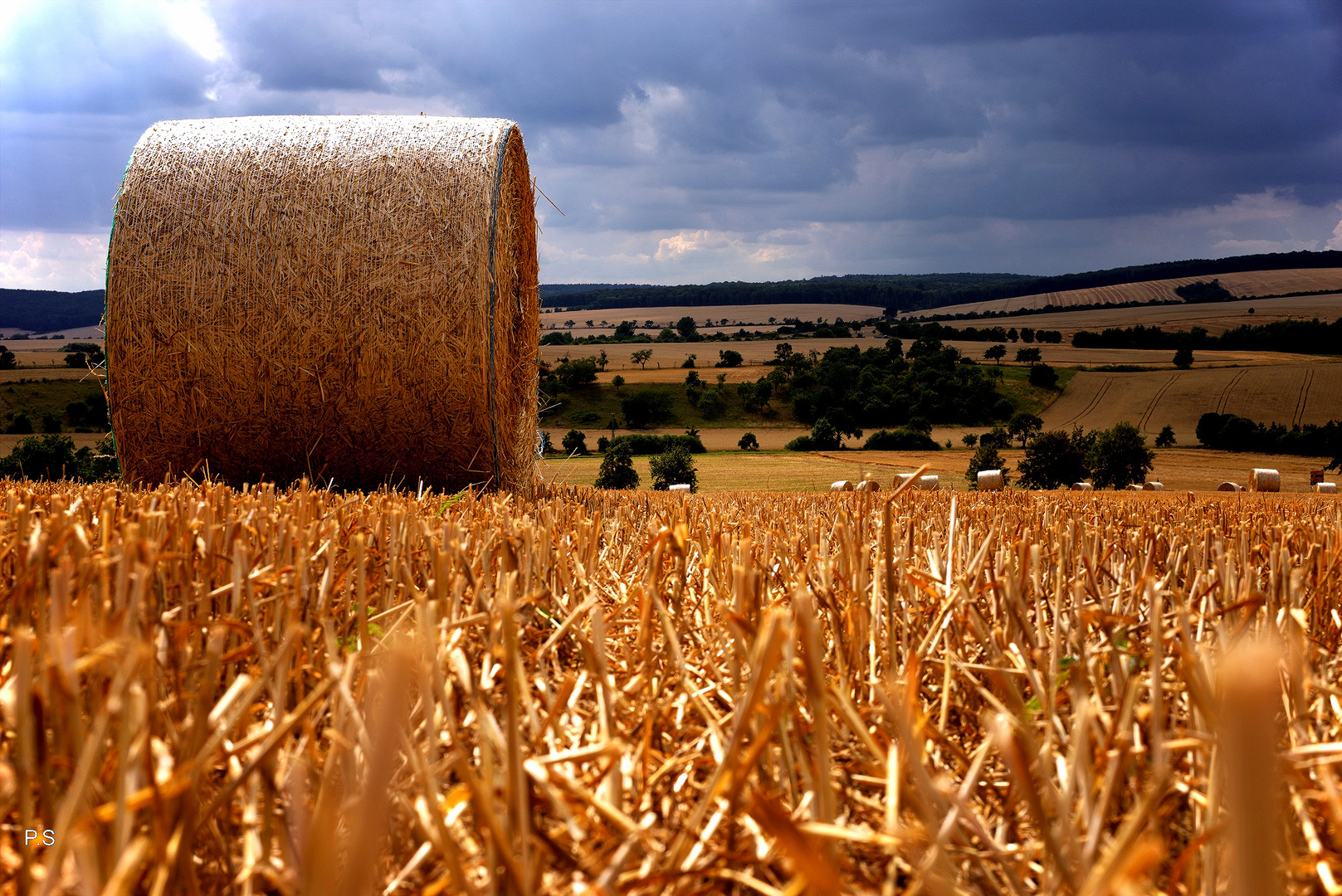 Sommerlandschaft