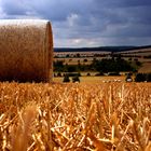 Sommerlandschaft