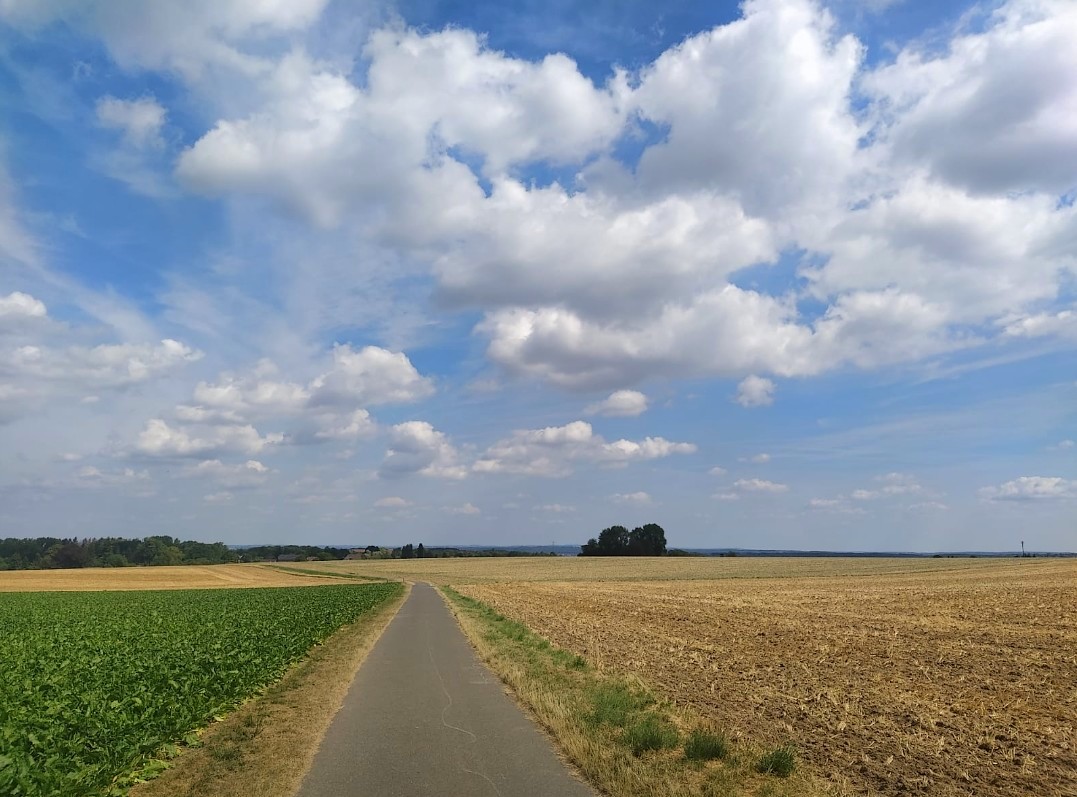 Sommerlandschaft 