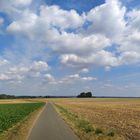 Sommerlandschaft 