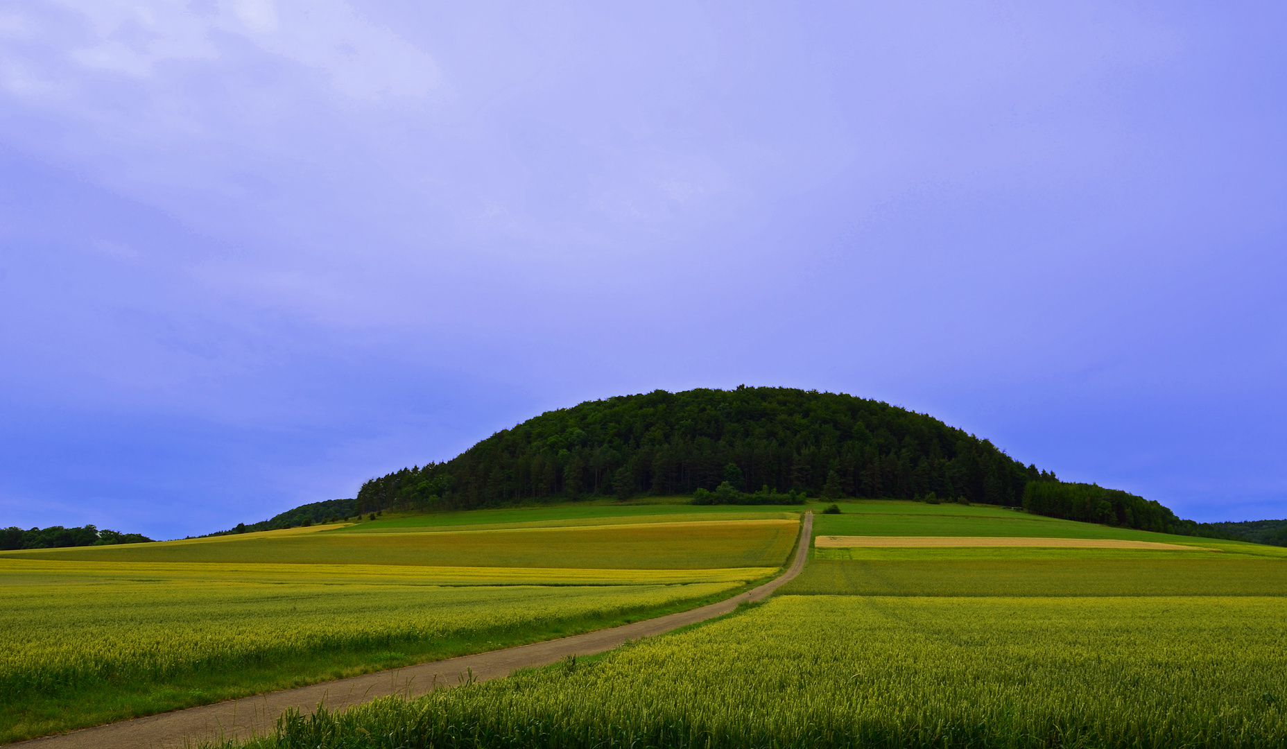 Sommerlandschaft