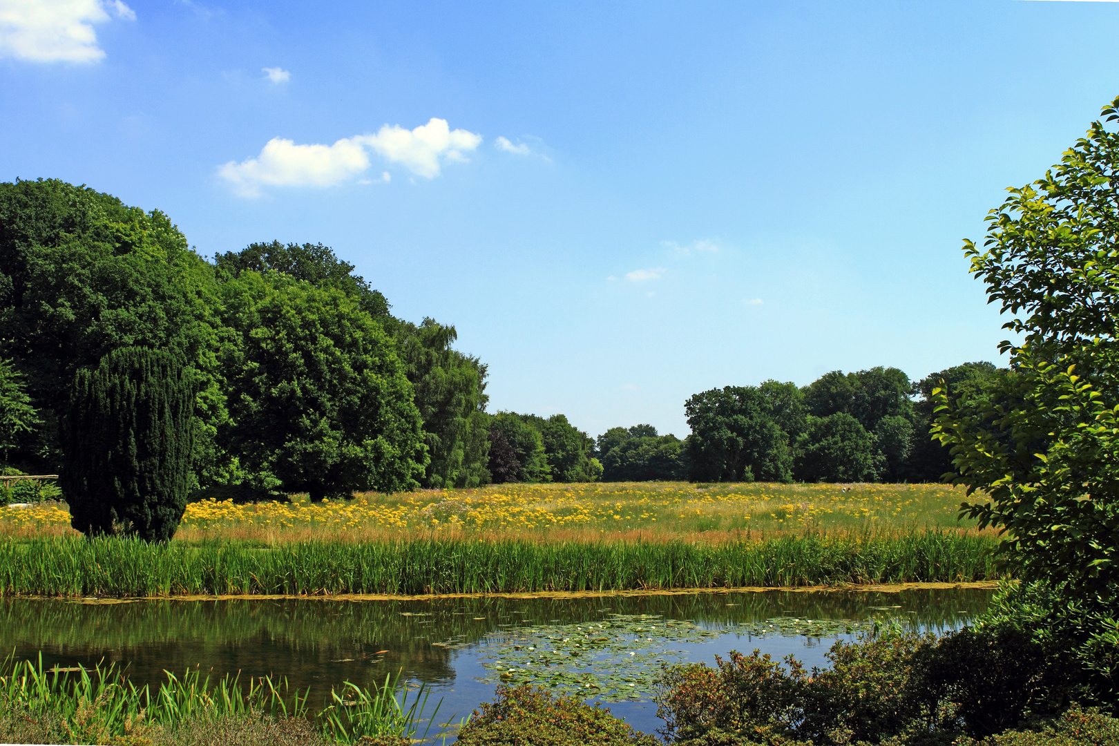 Sommerlandschaft