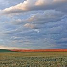 Sommerlandschaft am Abend