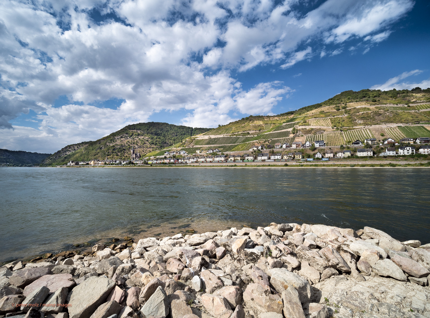 Sommerlandschaft am Mittelrhein | Blick auf Lorchhausen