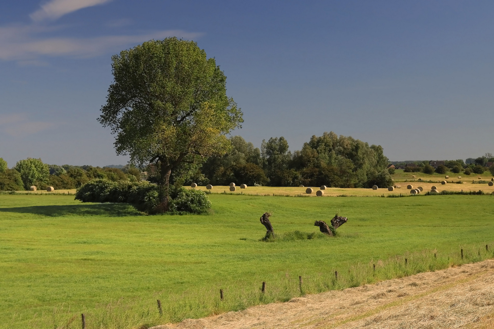 Sommerlandschaft am Niederrhein