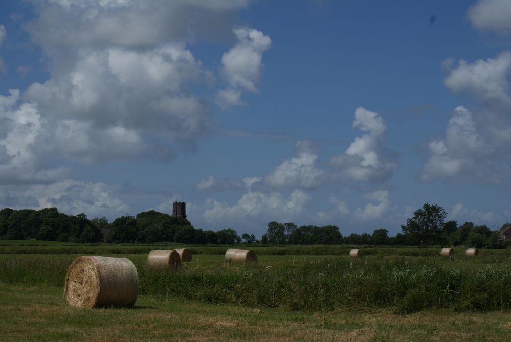 Sommerlandschaft an der Nordsee by larsherrmann 