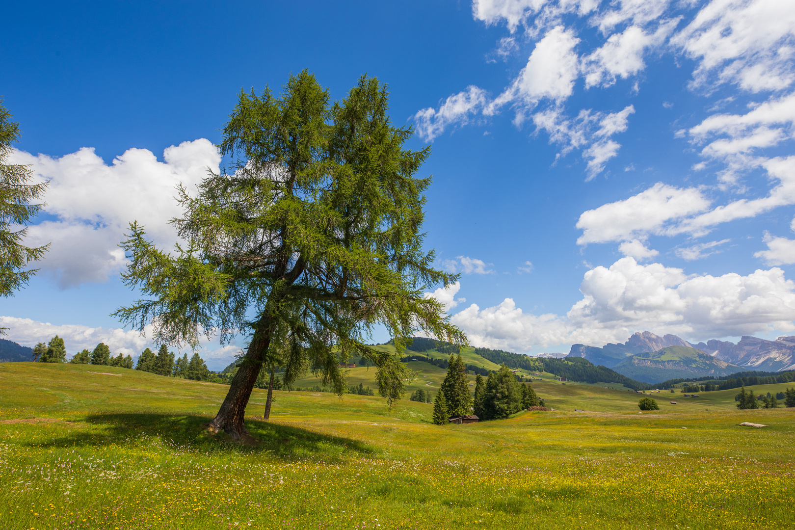 Sommerlandschaft auf der Seiser Alm