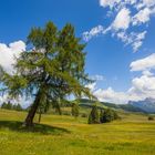 Sommerlandschaft auf der Seiser Alm