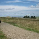 Sommerlandschaft auf Sylt