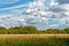 Sommerlandschaft ...