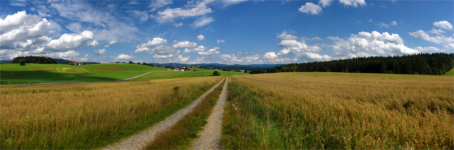 Sommerlandschaft - Bayerischer Wald