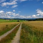 Sommerlandschaft - Bayerischer Wald