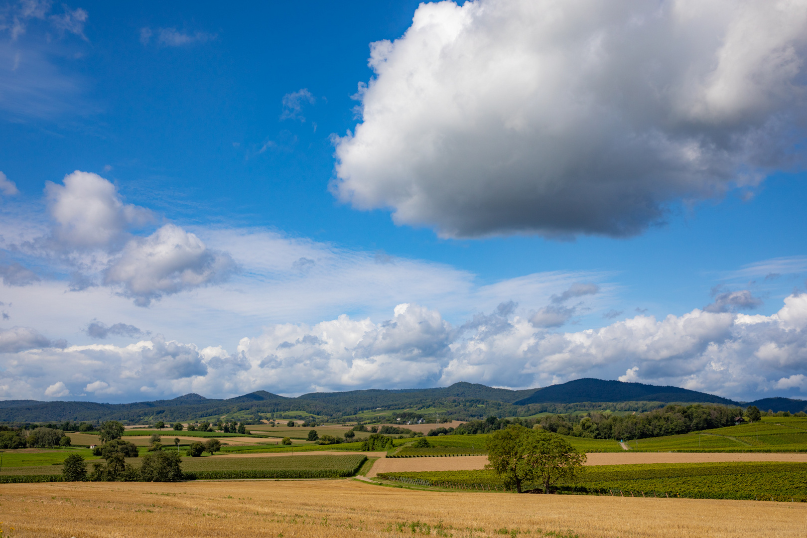 Sommerlandschaft bei Kapellen-Drusweiler