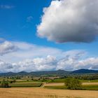 Sommerlandschaft bei Kapellen-Drusweiler