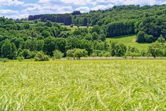 Sommerlandschaft bei Ottweiler/Saarland