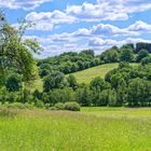 Sommerlandschaft bei Ottweiler/Saarland  (2)