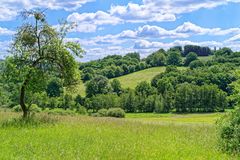 Sommerlandschaft bei Ottweiler/Saarland  (2)