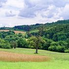 Sommerlandschaft bei Ottweiler/Saarland