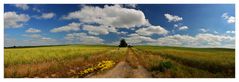 Sommerlandschaft bei Sadelkow