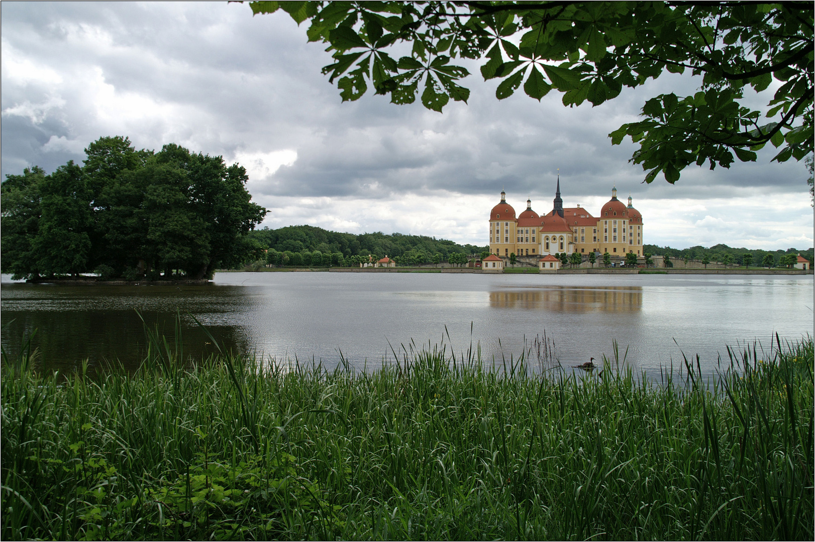 Sommerlandschaft