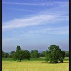 Sommerlandschaft