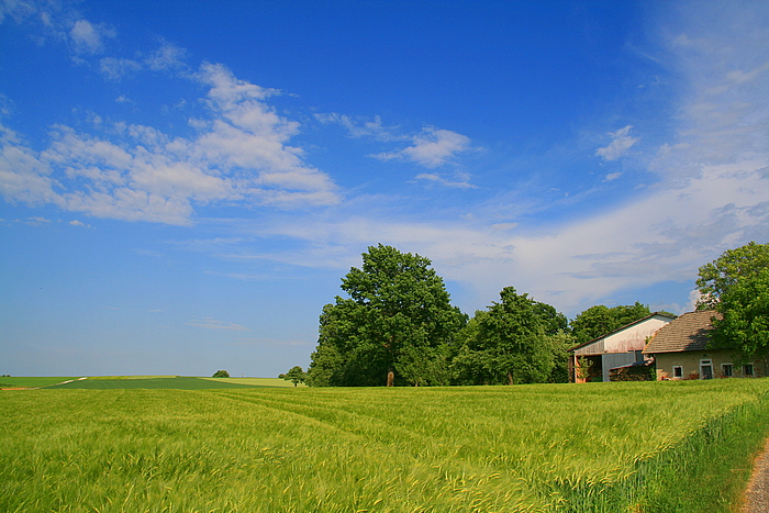 Sommerlandschaft