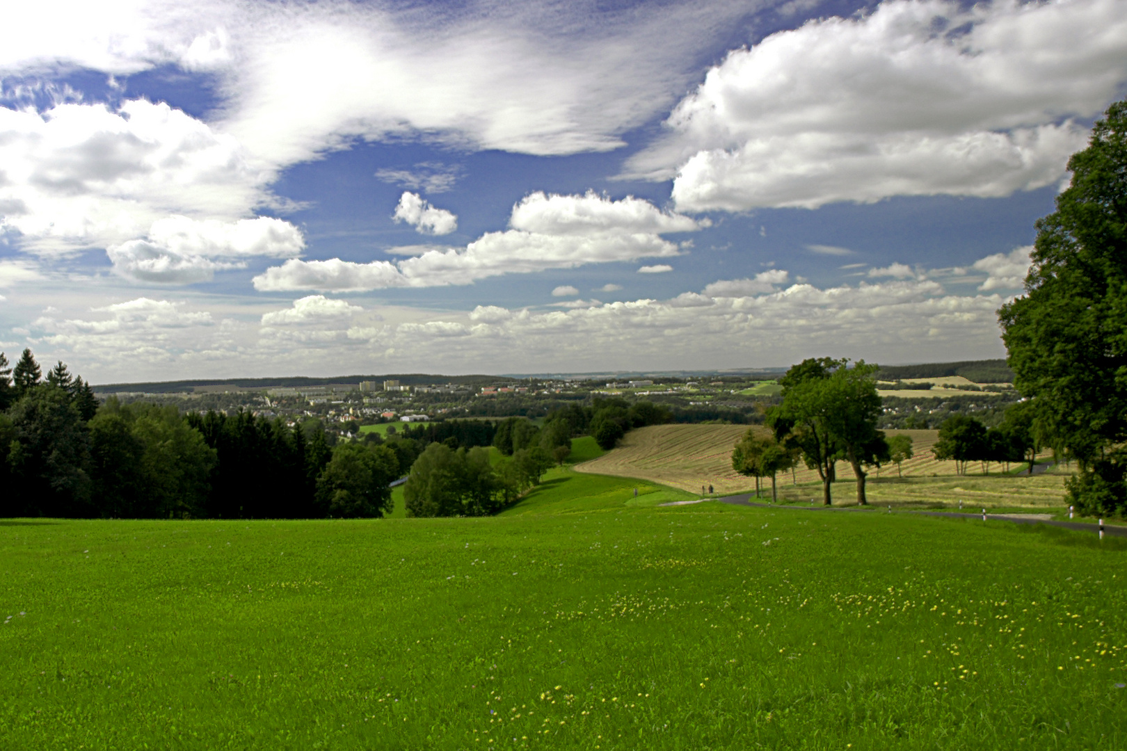 Sommerlandschaft