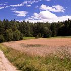 Sommerlandschaft