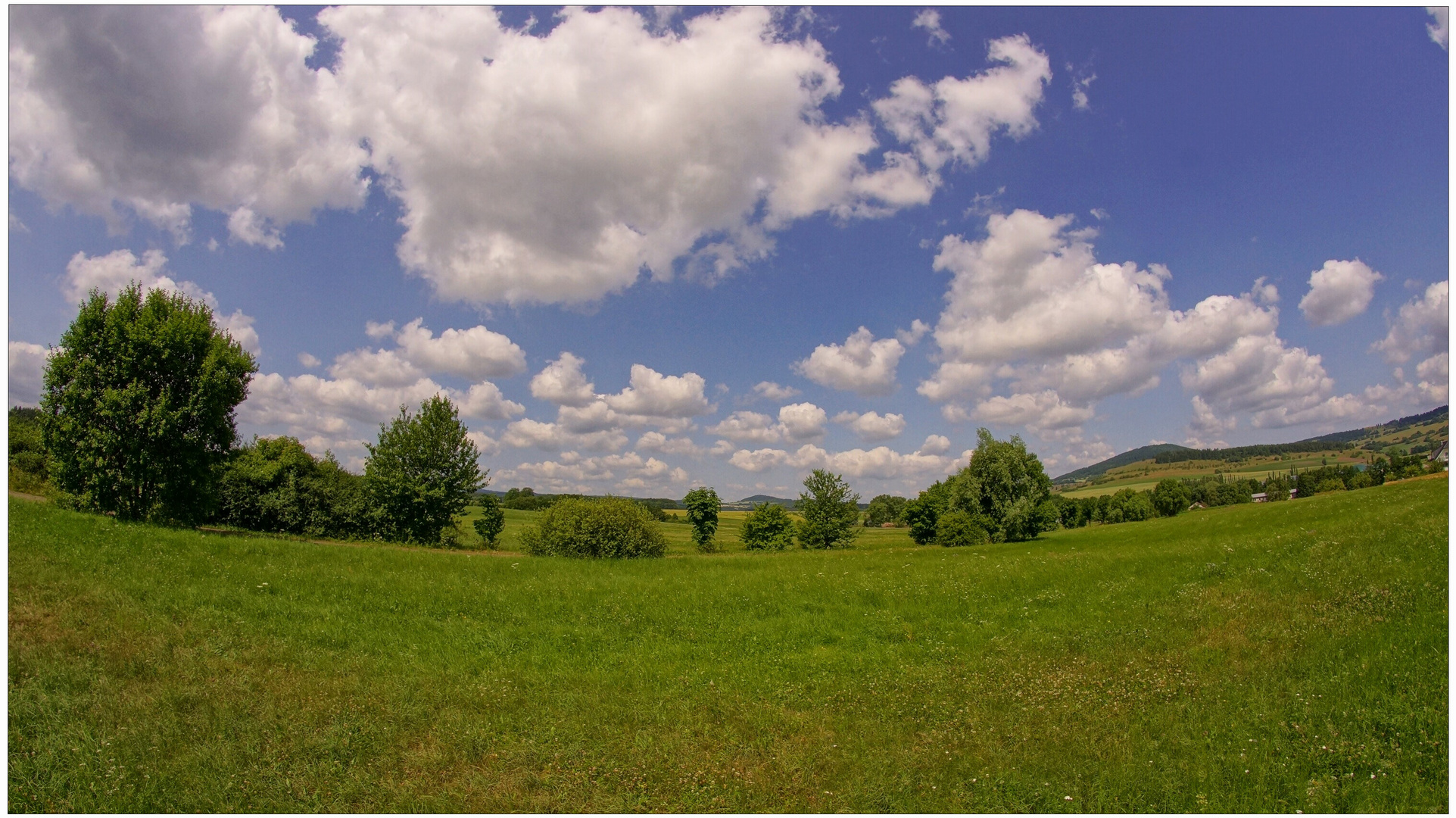 Sommerlandschaft II (paisaje de verano II)